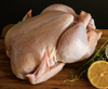 Free Range Chicken